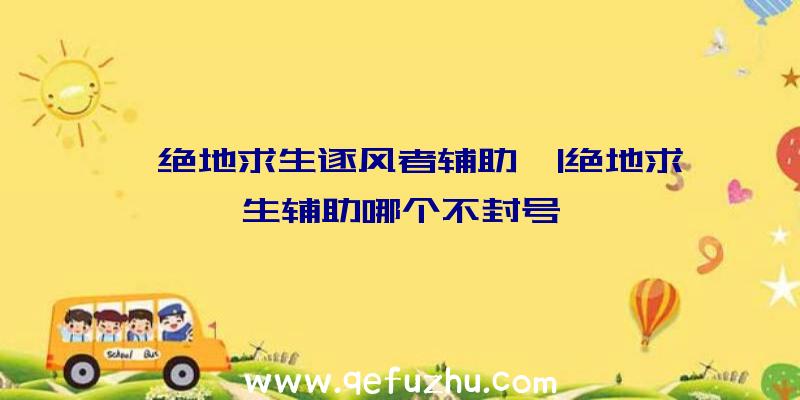 「绝地求生逐风者辅助」|绝地求生辅助哪个不封号